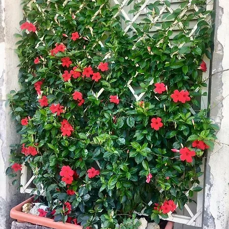 Appartement Terranera *