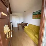 Terranera *