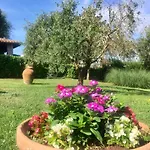 Terranera Apartman Scansano