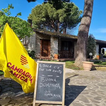 Apartament Terranera