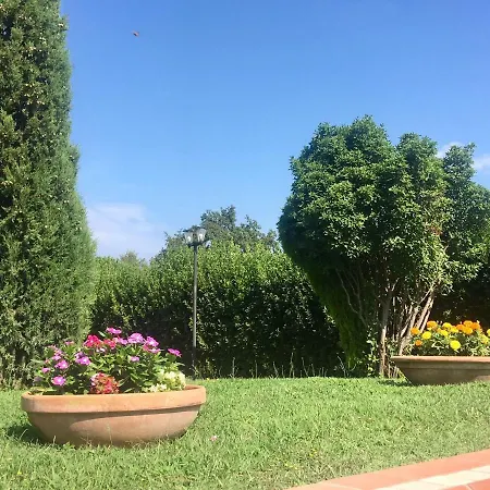 Terranera *