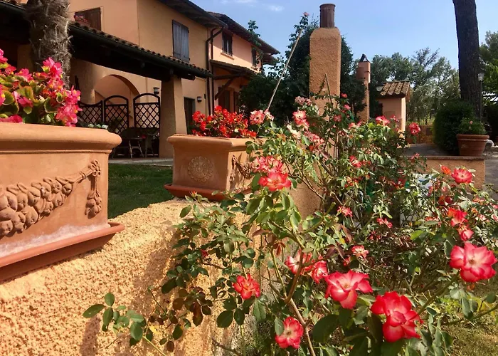 Apartament Terranera *