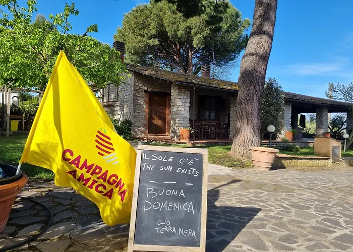 Apartament Terranera