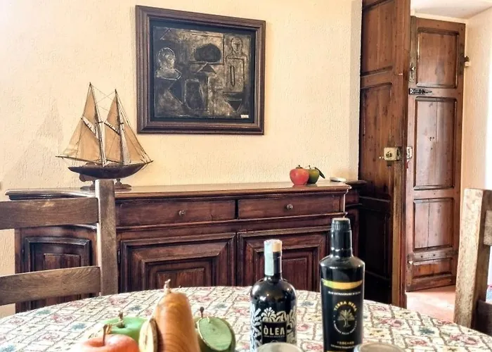 Apartament Terranera *