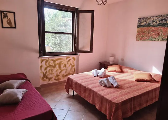 Apartament Terranera