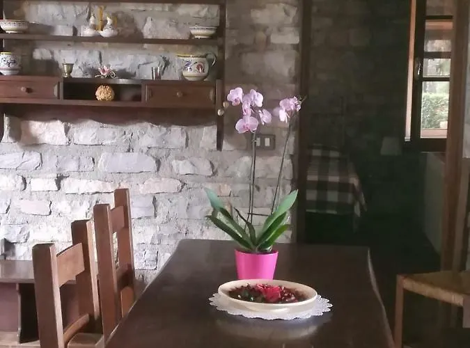 Apartament Terranera