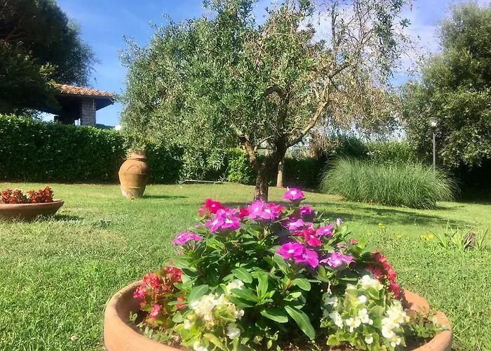 Terranera Apartament Scansano